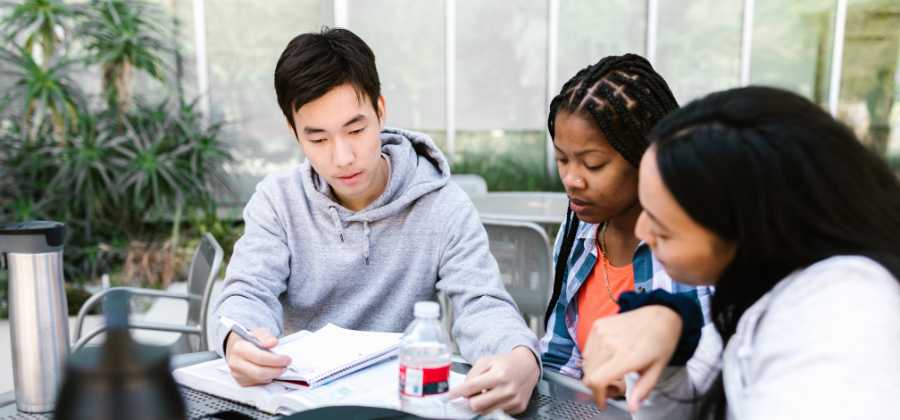 Which UK university has the most Nigerian?